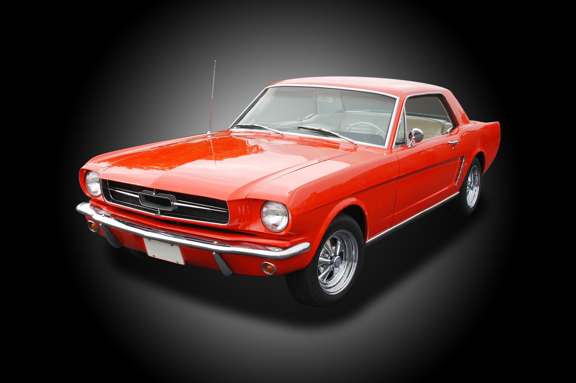 Express Auto Detail in North Brunswick Township, NJ (4)