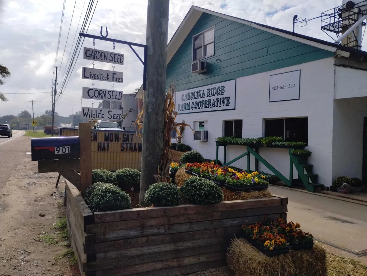 Carolina Ridge Farm Cooperative in Ridge Spring, SC (2)