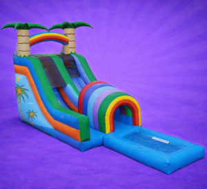 R2R Moonwalk and Party Rentals,LLC in Baytown, TX (5)