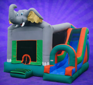 R2R Moonwalk and Party Rentals,LLC in Baytown, TX (6)