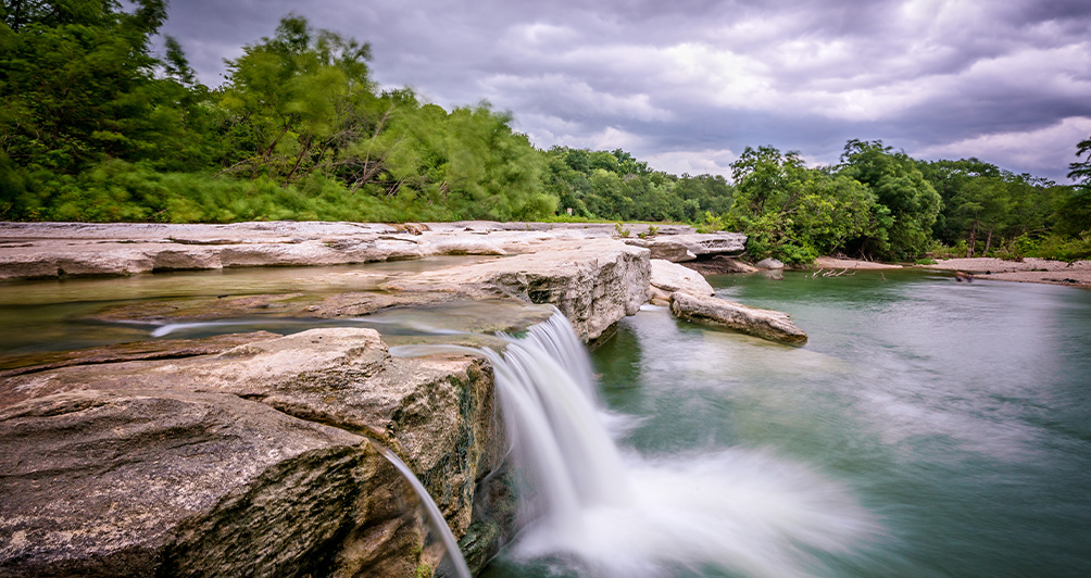Camille Borg Law PLLC in McKinney, TX (4)