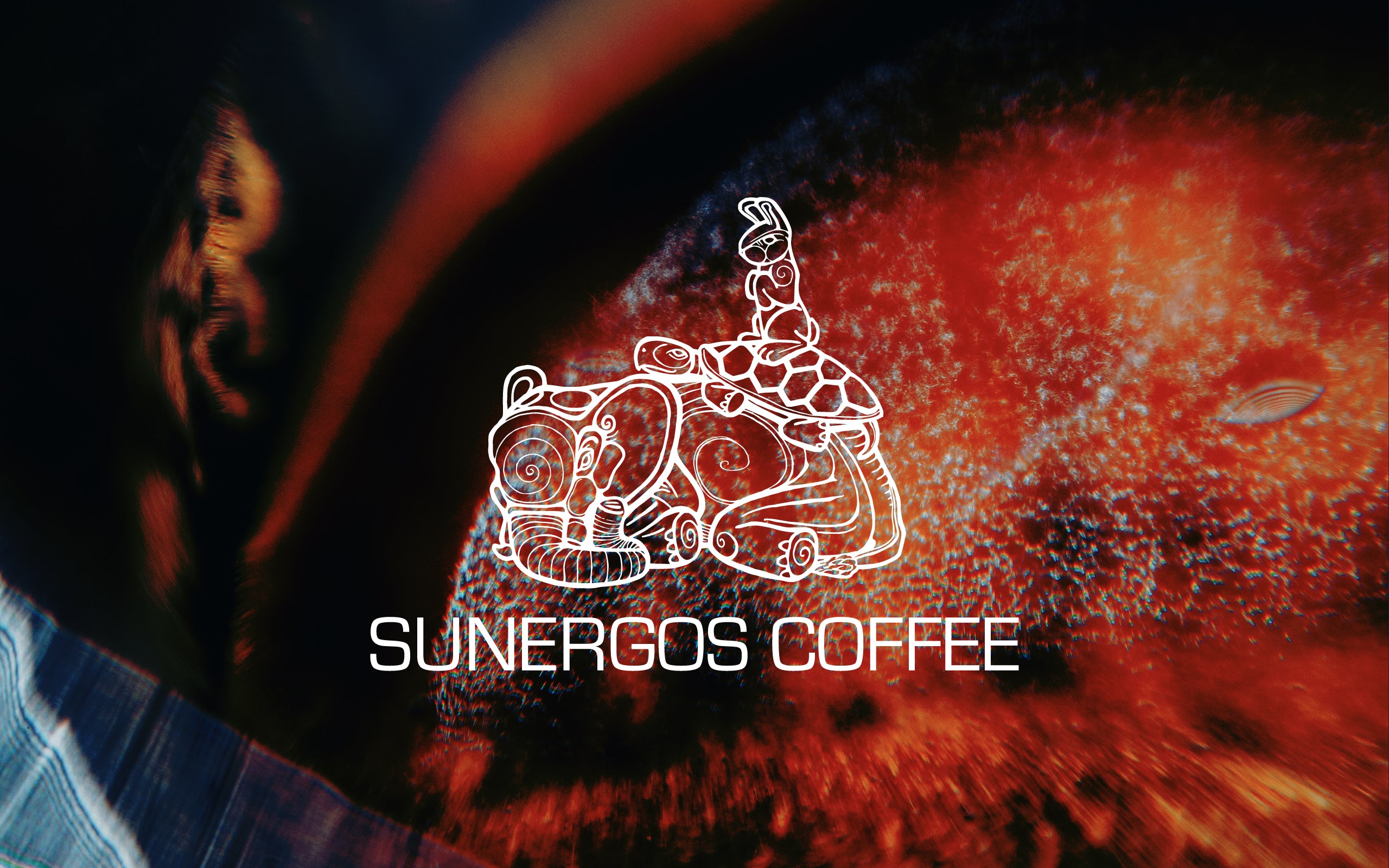 Sunergos Coffee in Louisville, KY (3)