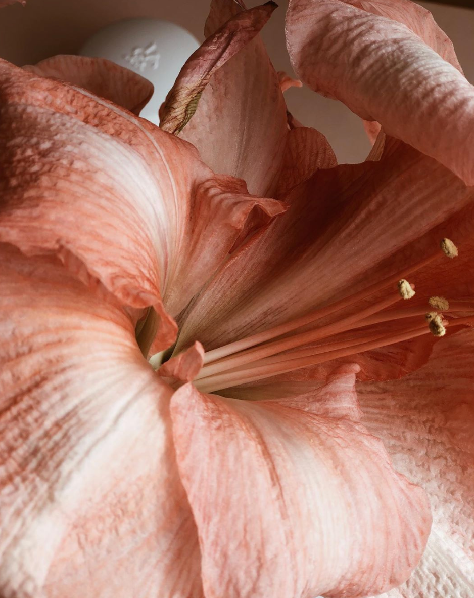 Luminous - Beauty, Skin & Soul in Ho-Ho-Kus, NJ (4)