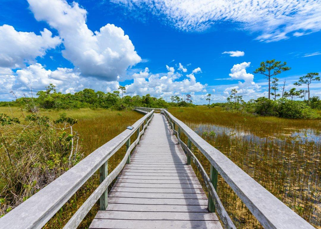 Jacob Foreman - Coldwell Banker Realty in Crestview, FL (4)