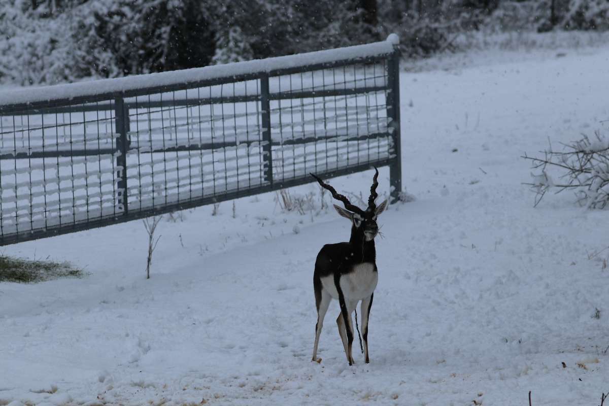 Why Not? Ranch in Rockdale, TX (6)