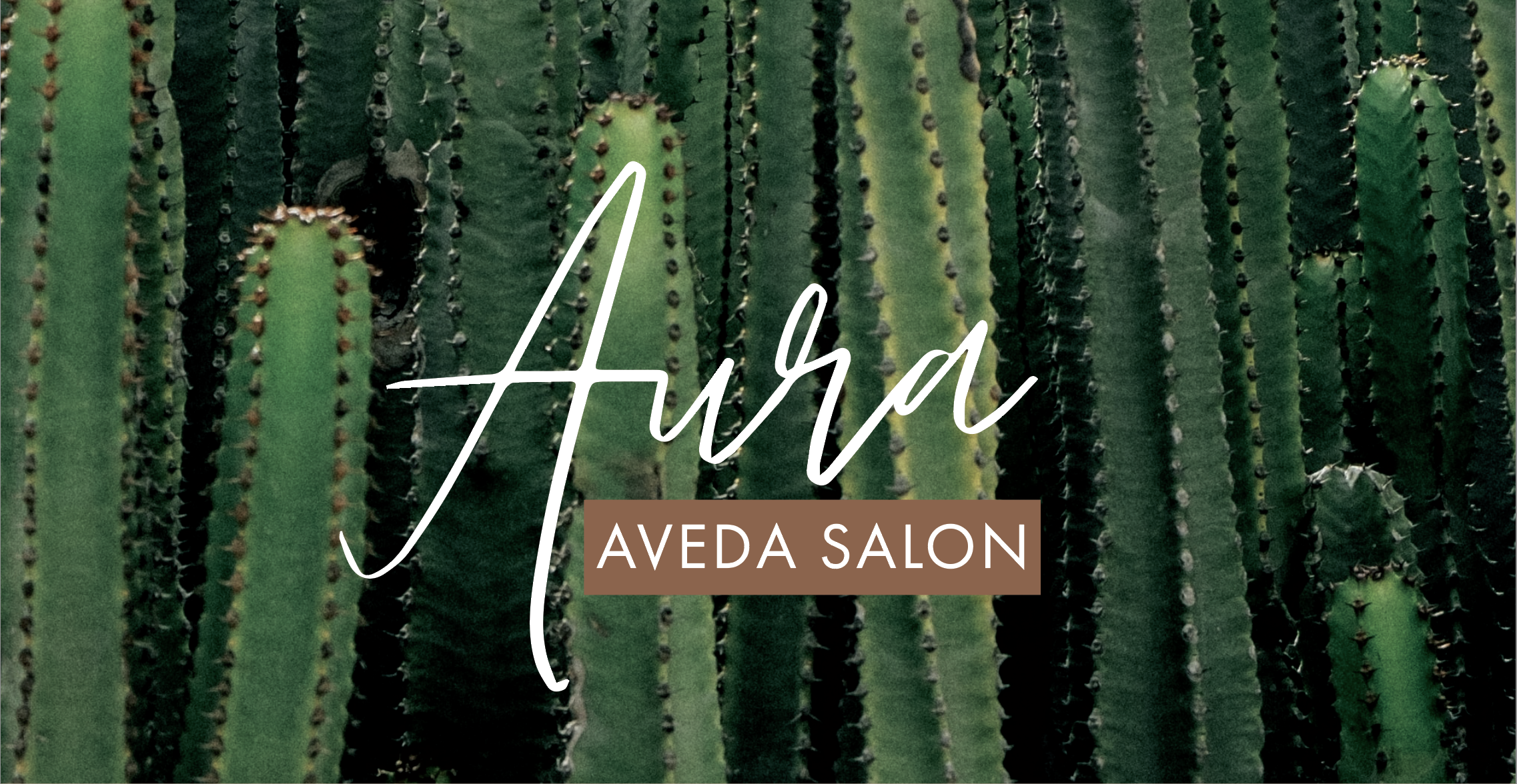 Aura Aveda Salon in Indio, CA