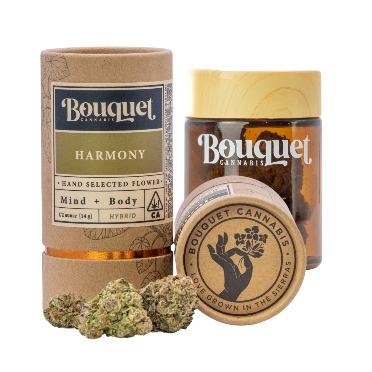 Elevation 2477' Cannabis Dispensary in Nevada City, CA