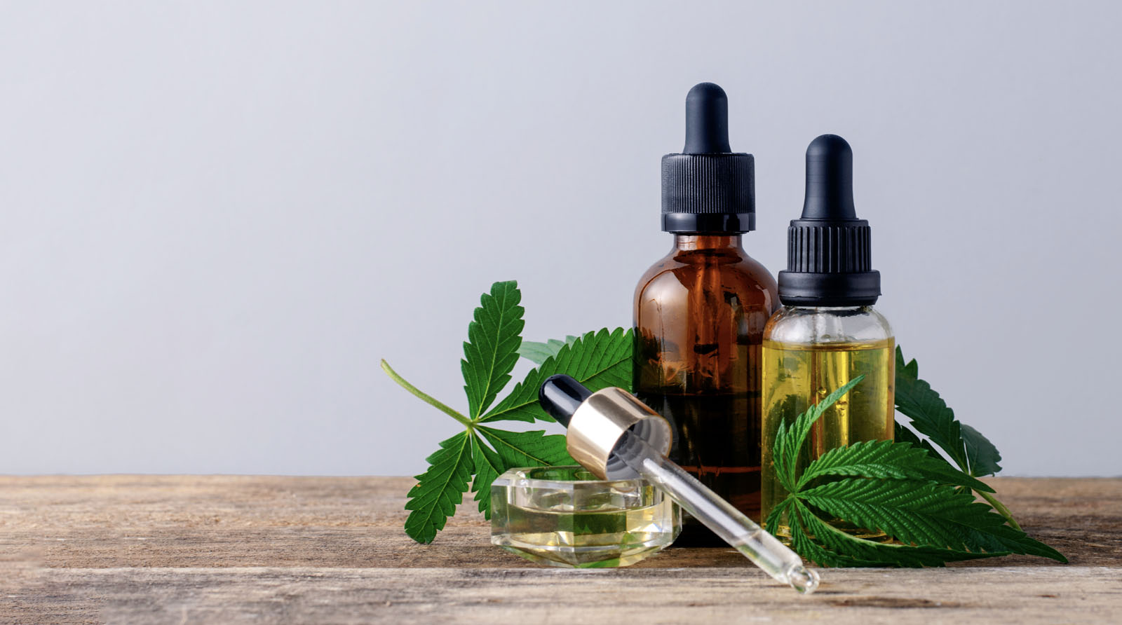 Elevation 2477' Cannabis Dispensary in Nevada City, CA (3)
