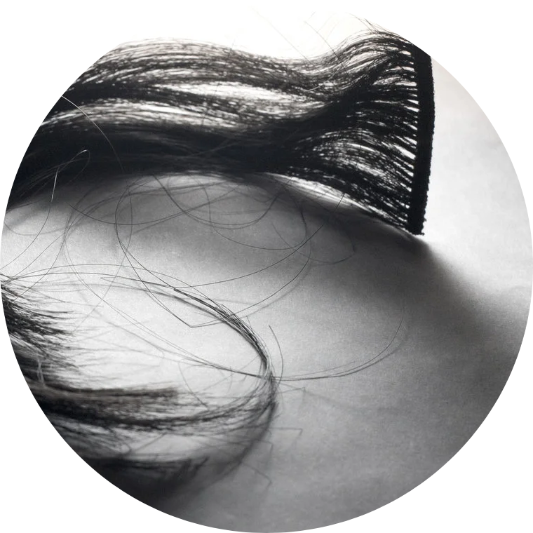 Stefanie's Hair & Beauty Design Studio in Asheville, NC