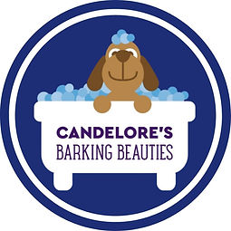 Barking Beauties Monongahela in Monongahela, PA (6)