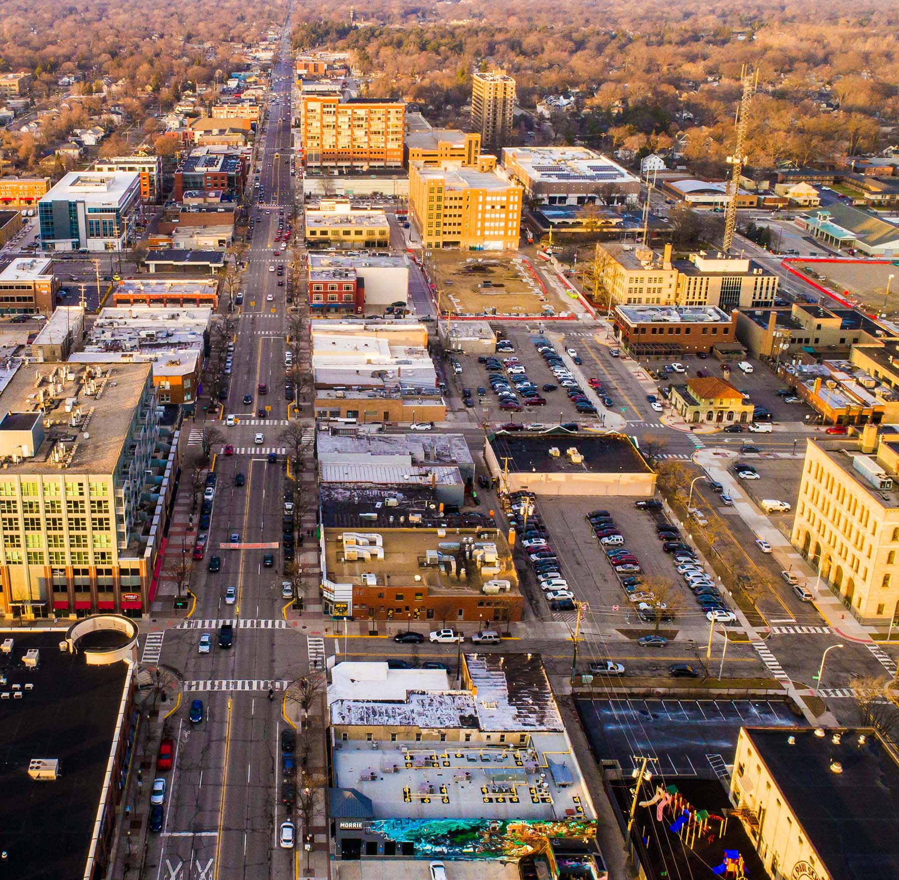 Friedman Law Firm in Royal Oak, MI (2)