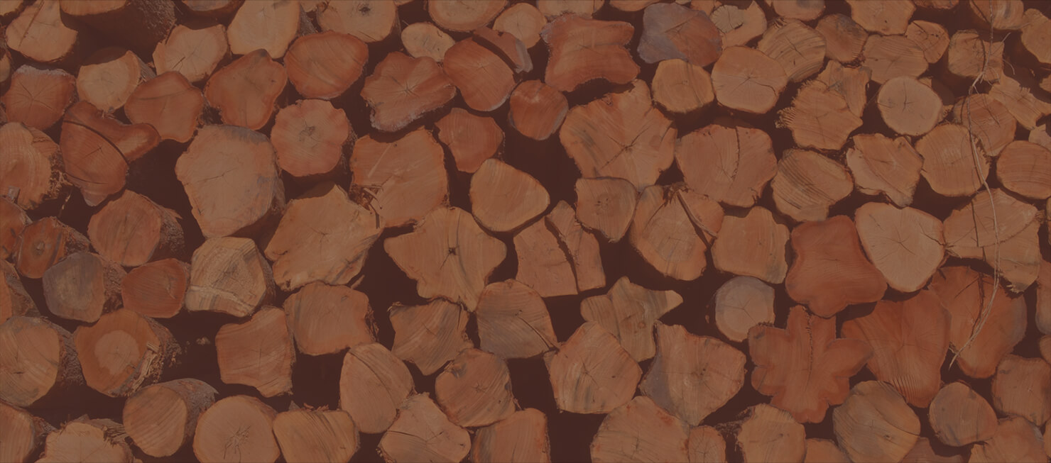 Ward Timber in Linden, TX (5)
