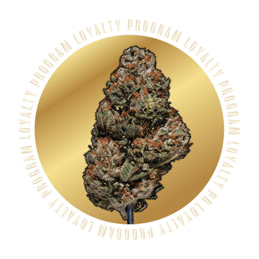 Island Vibez Dispensary in Plainfield, NJ