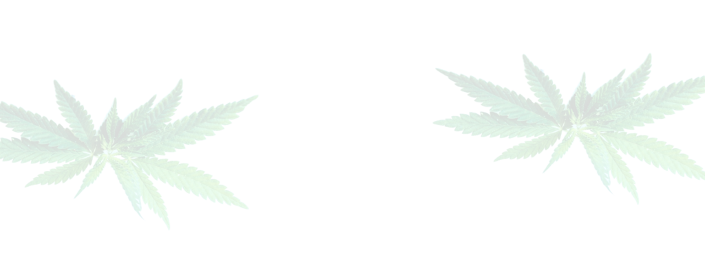 Island Vibez Dispensary in Plainfield, NJ (5)