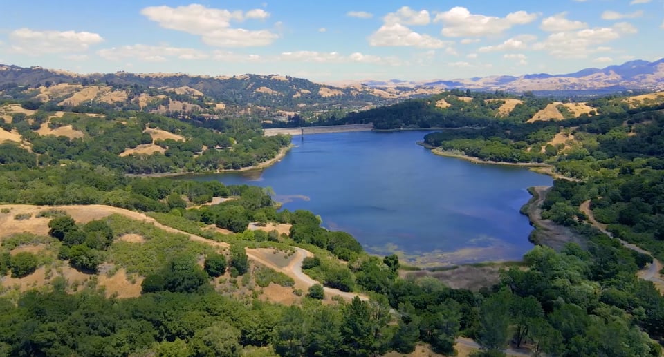 Molly Smith Realtor Village Associates in Orinda, CA (3)