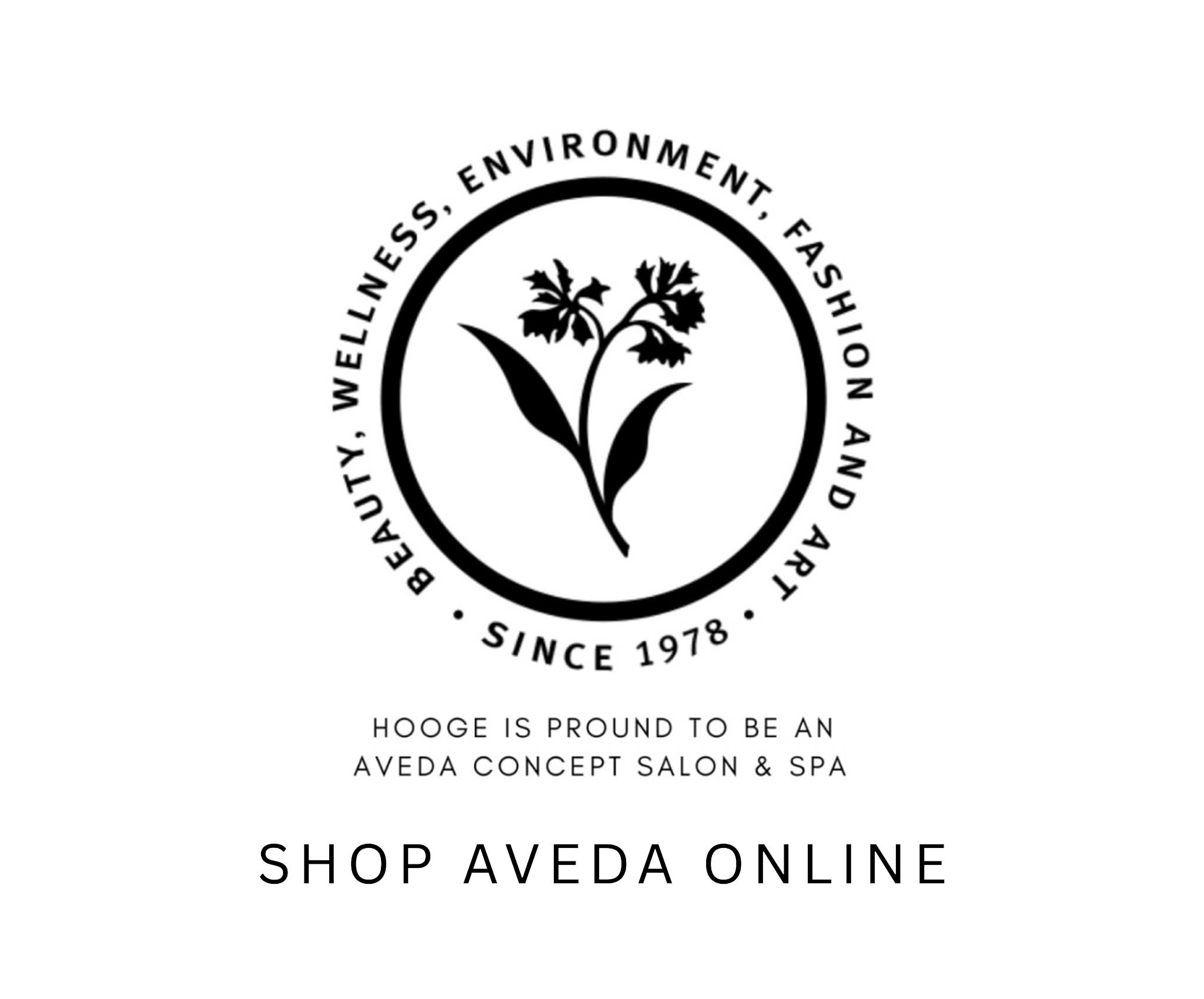 hooge salon and spa in Appleton, WI (3)
