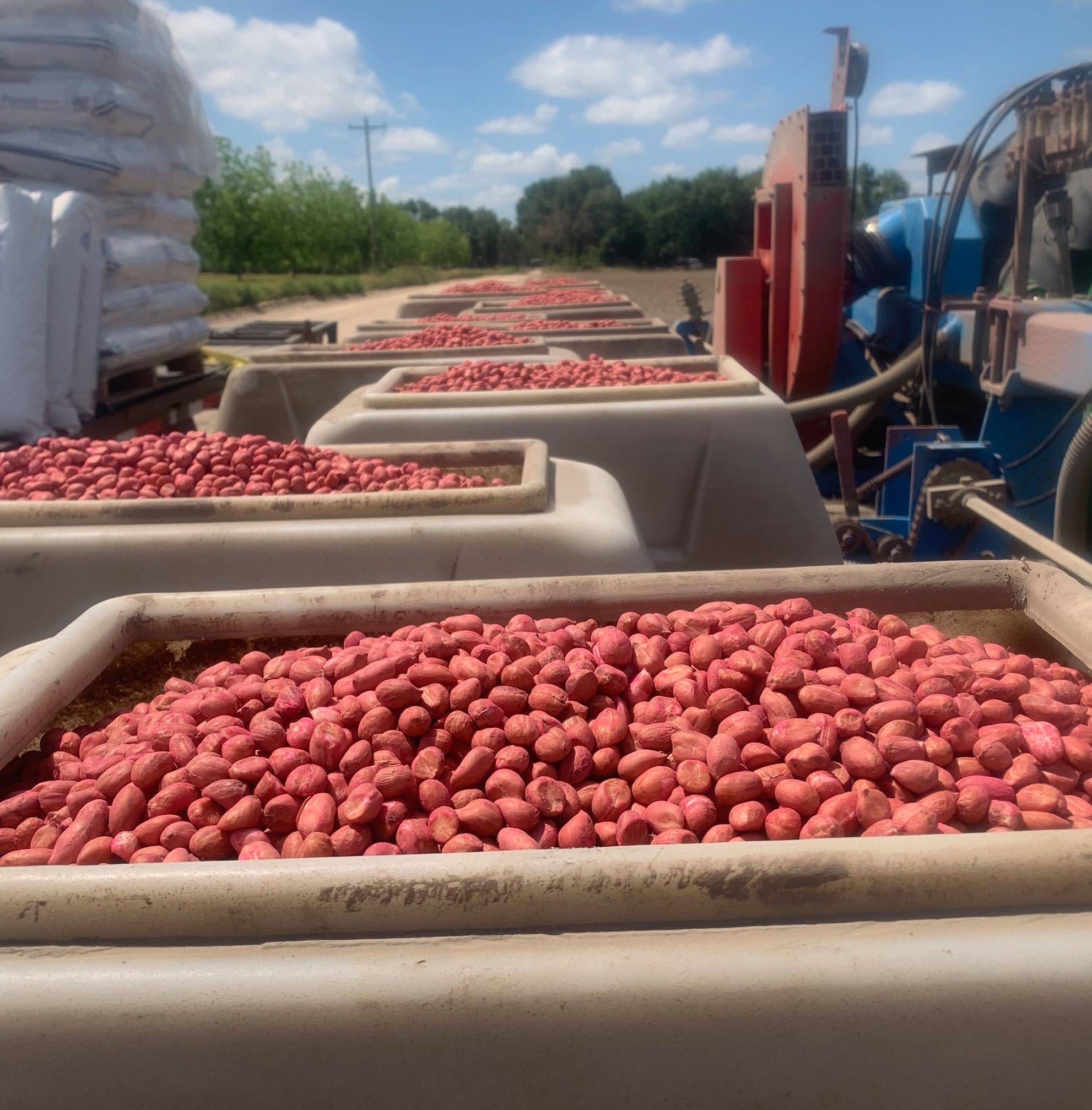 American Peanut Growers Group, LLC in Donalsonville, GA (3)