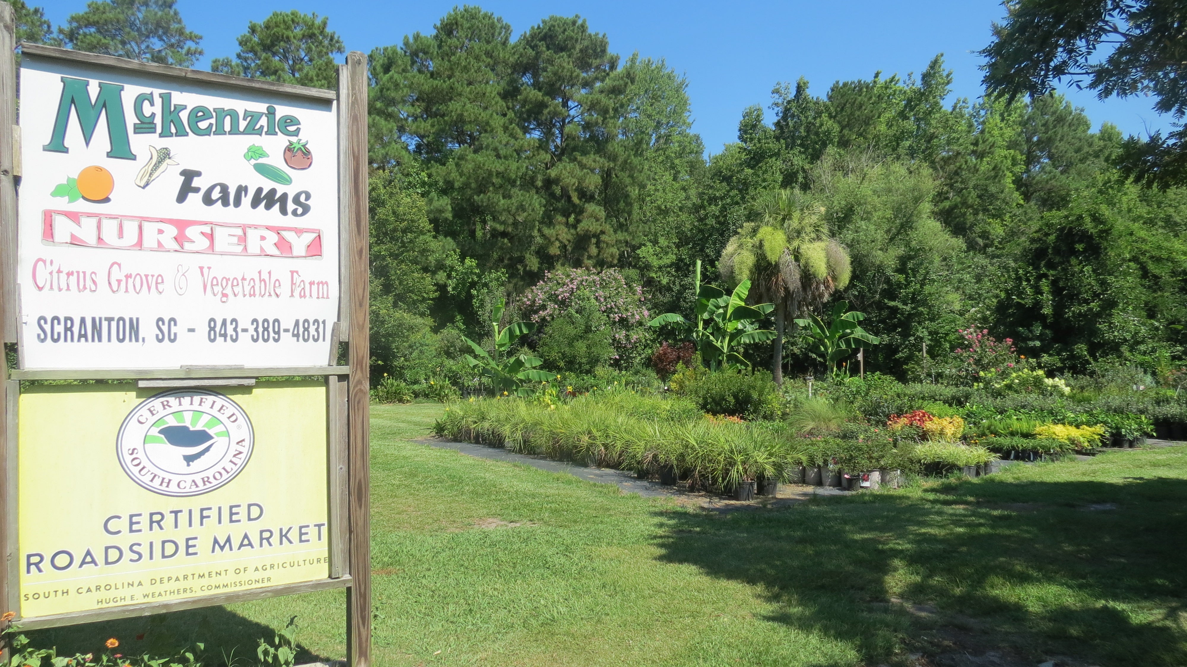 McKenzie Farms in Scranton, SC