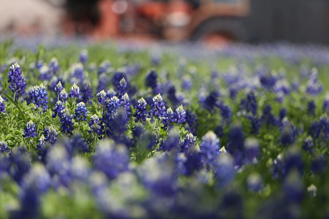 Randall H. Anderson, CPA, P.C. in Weatherford, TX