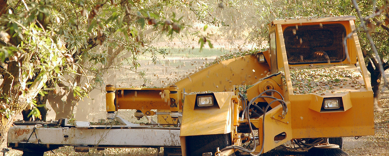 Croce, Sanguinetti, & Vander Veen, Inc. in Stockton, CA