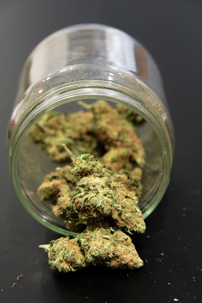 Sundial Collective - Red Bluff in Red Bluff, CA (5)