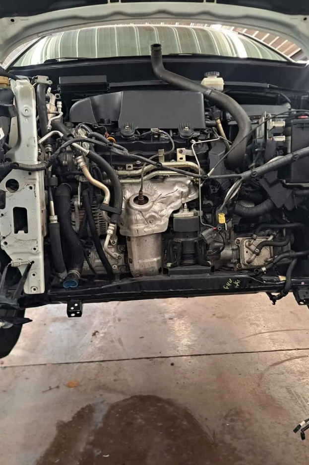 Blue Collar Automotive in Sellersburg, IN (5)