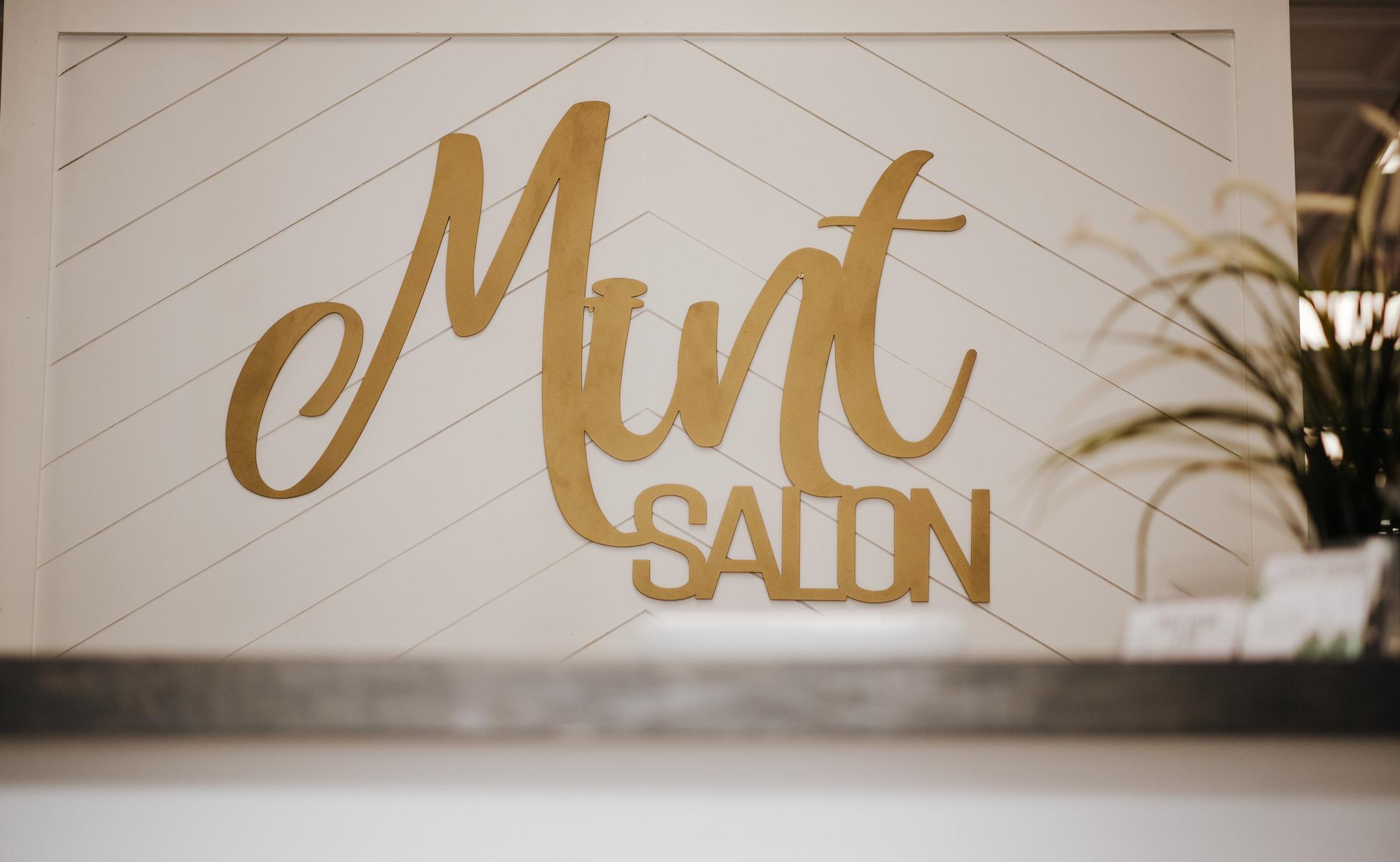 Mint Salon in Virginia Beach, VA