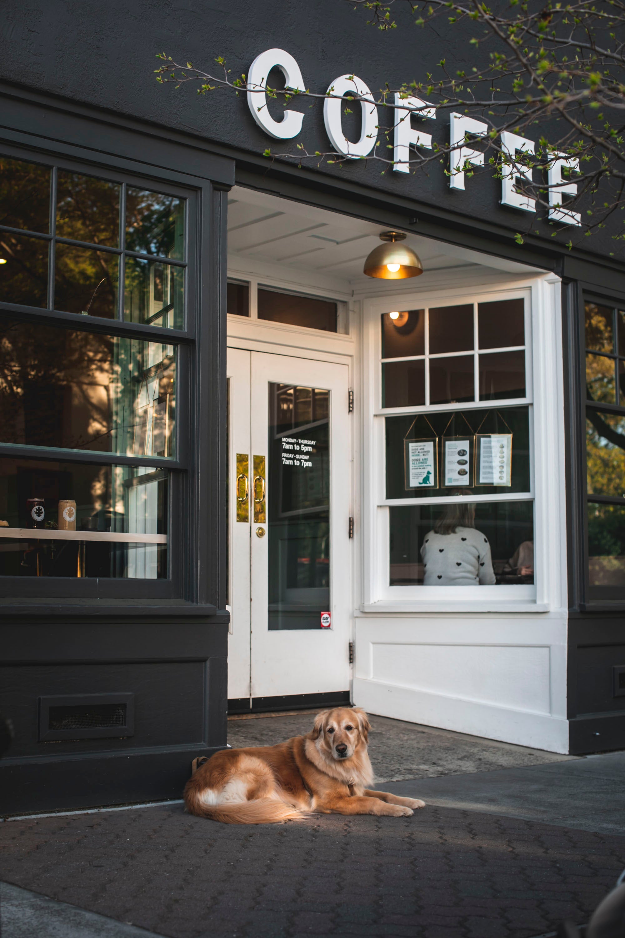 Black Oak Coffee Roasters in Healdsburg, CA