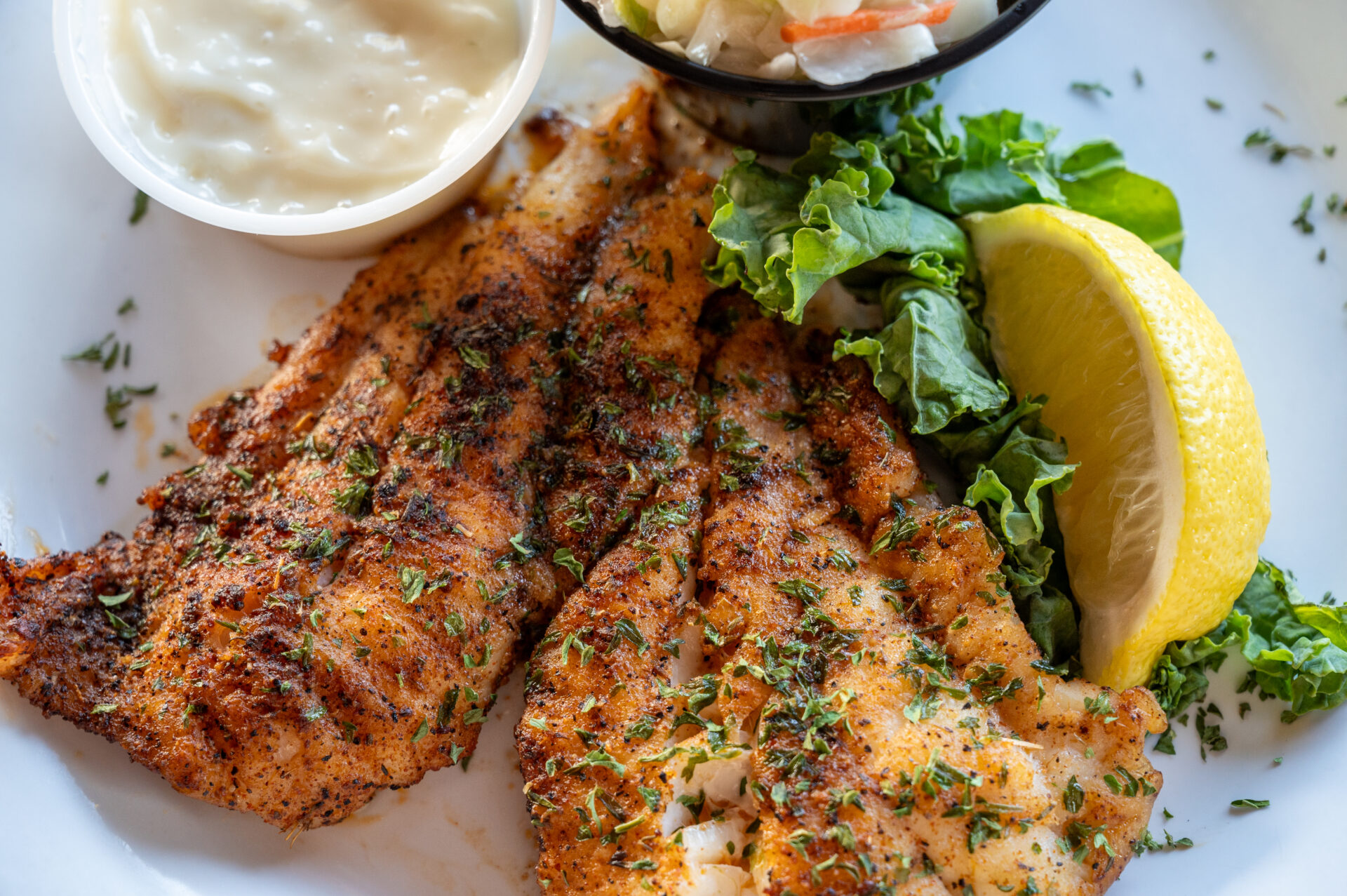 Friendly Fisherman Restaurant in Madeira Beach, FL (3)