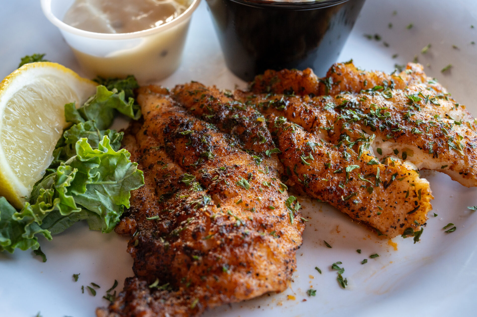 Friendly Fisherman Restaurant in Madeira Beach, FL (4)