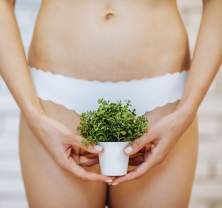KolE'cho Skincare and Waxing in Lewisburg, WV (4)