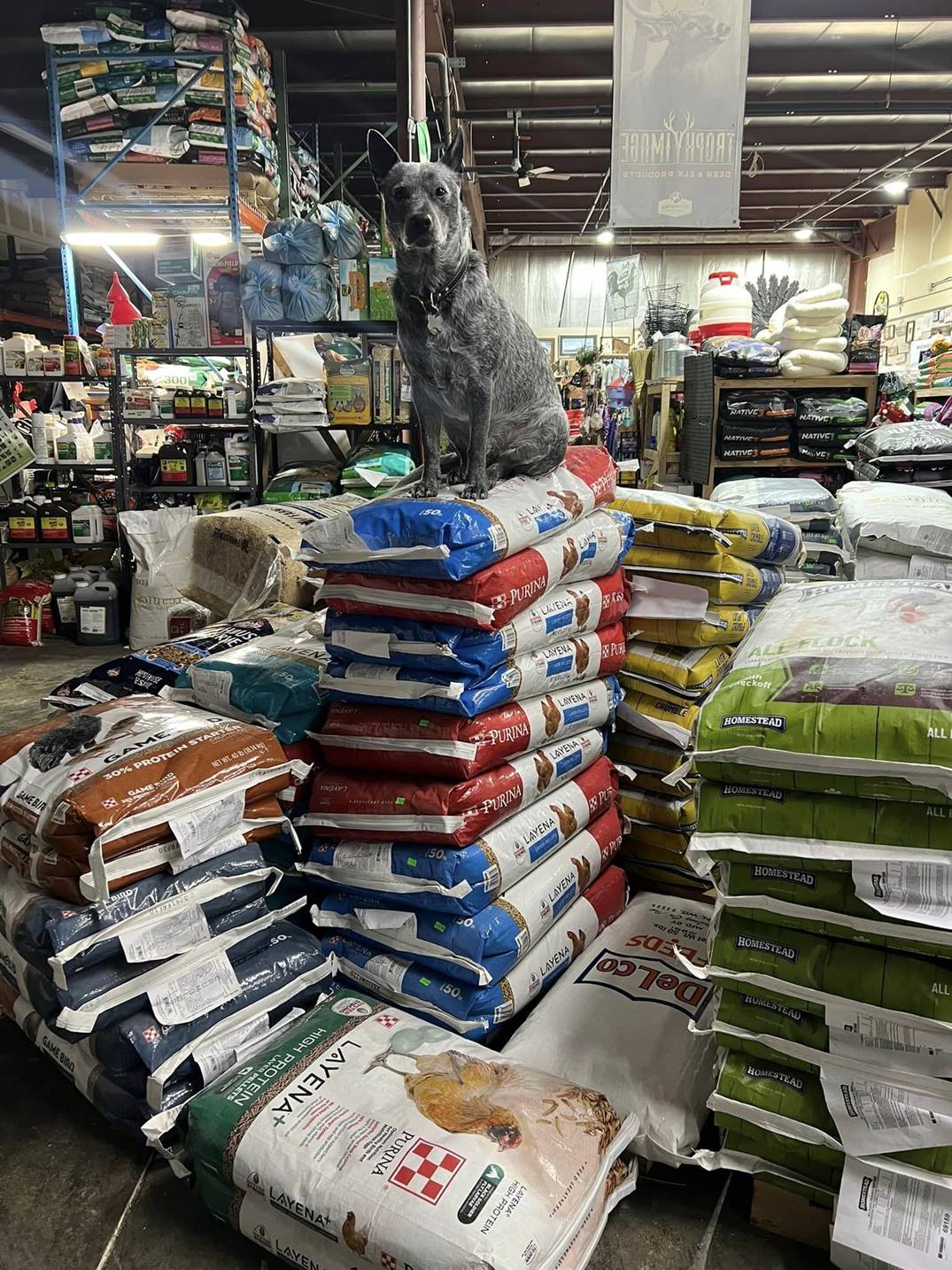 Muskego Feed & Seed LLC in Muskego, WI (4)