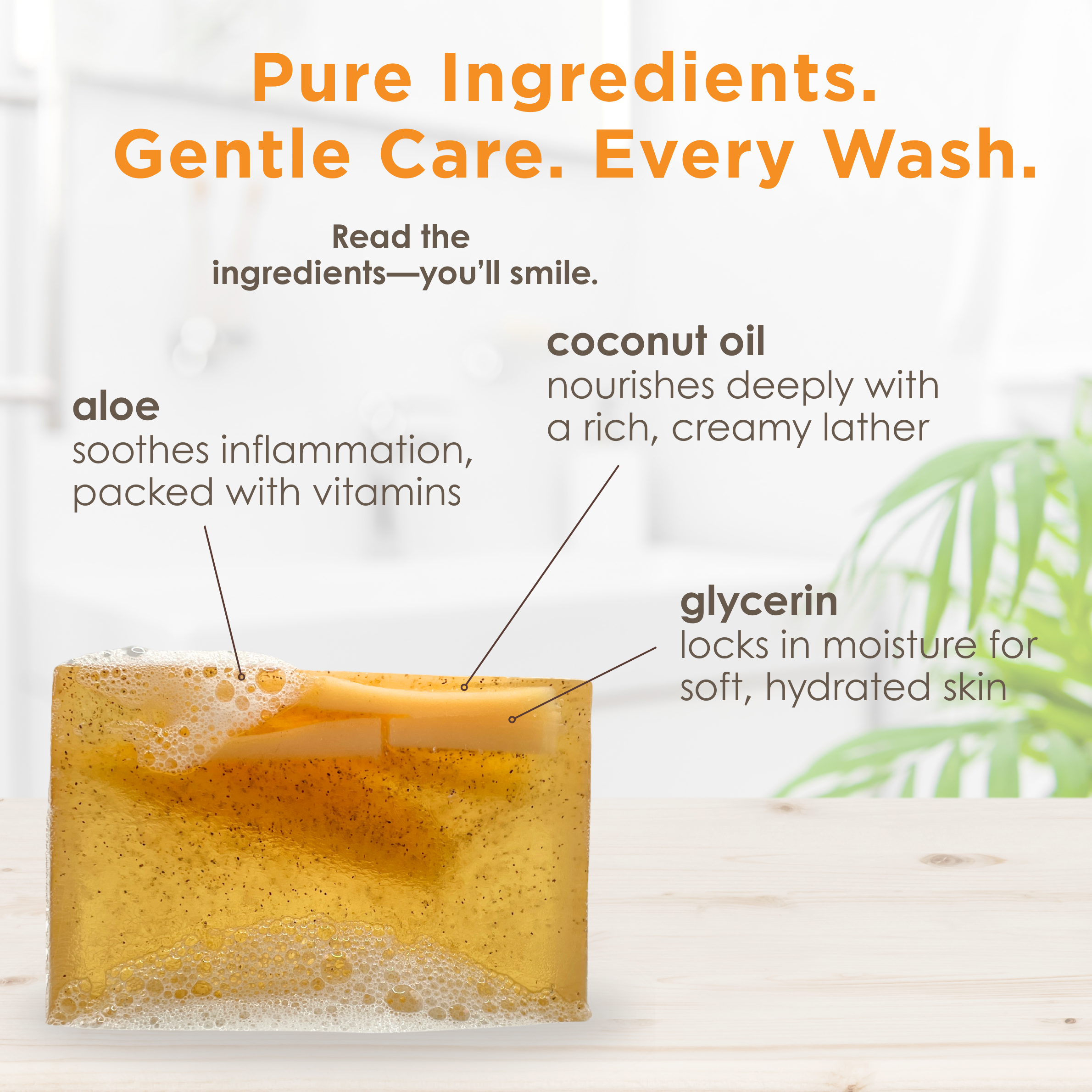 nourish organics + naturals in Hilton Head Island, SC (2)
