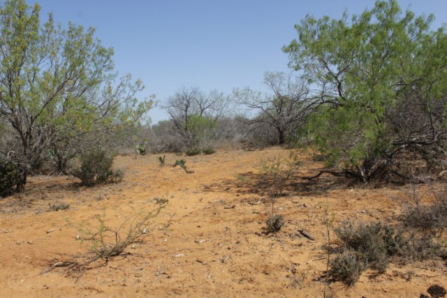 Suttle and Company Real Estate in Leakey, TX (3)