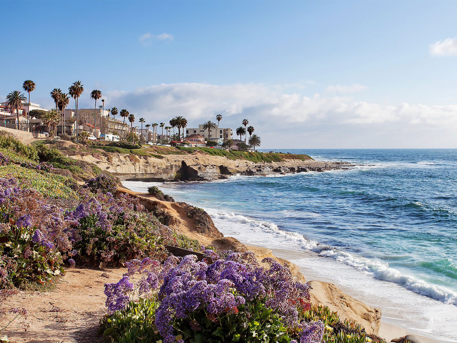 Stephanie Younger Group - Realtor in Los Angeles, CA (5)