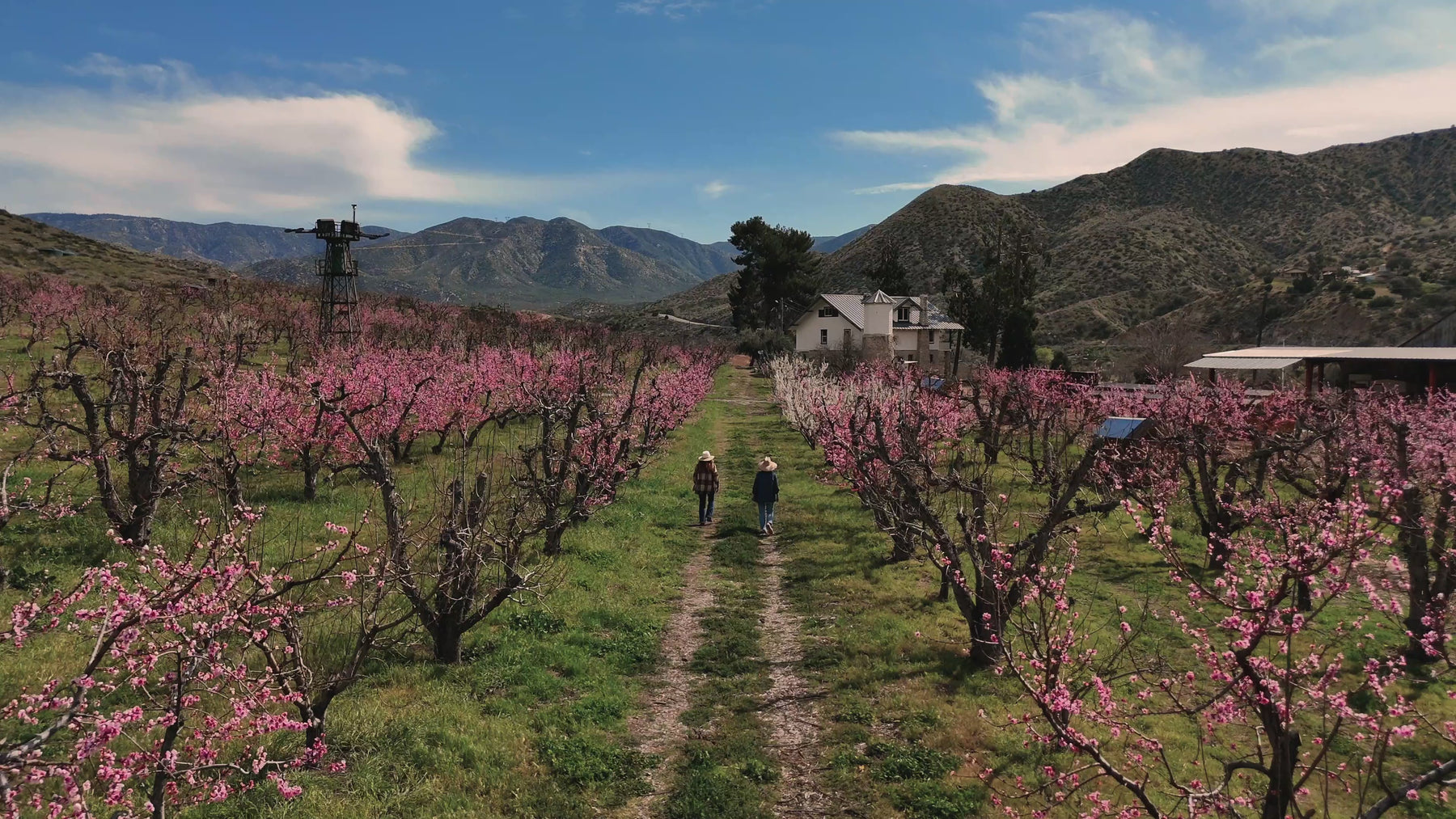 Bloom Ranch of Acton in Acton, CA (2)
