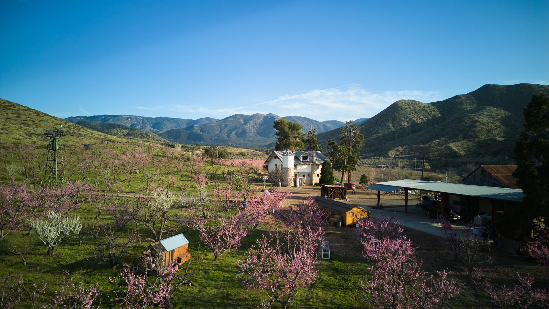 Bloom Ranch of Acton in Acton, CA (3)