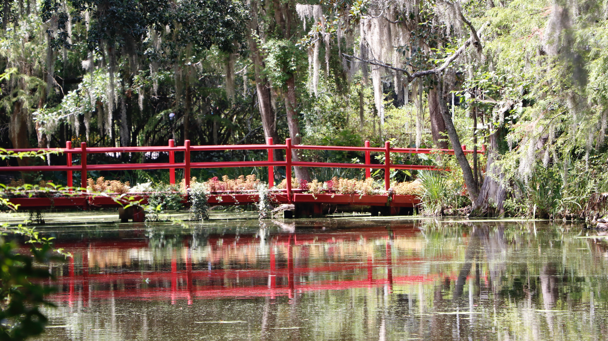 Thomas Brooks Jr. Real Estate Agent in Saint Matthews, SC (2)