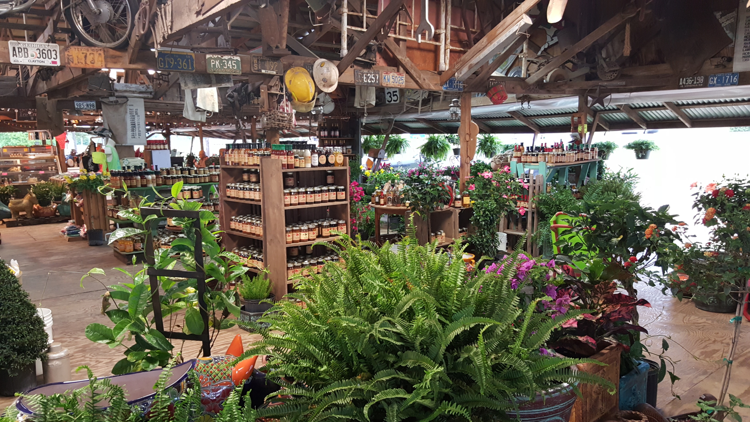 Efurd Orchards in Pittsburg, TX (2)