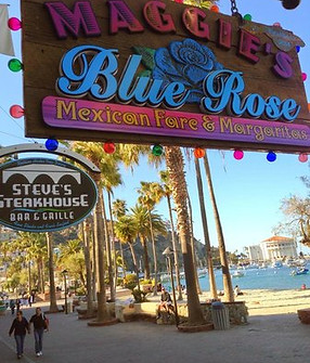 Maggie's Blue Rose in Avalon, CA