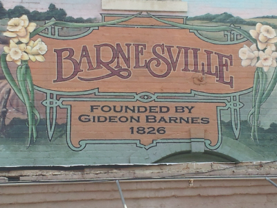Team One Real Estate Professionals in Barnesville, GA (4)