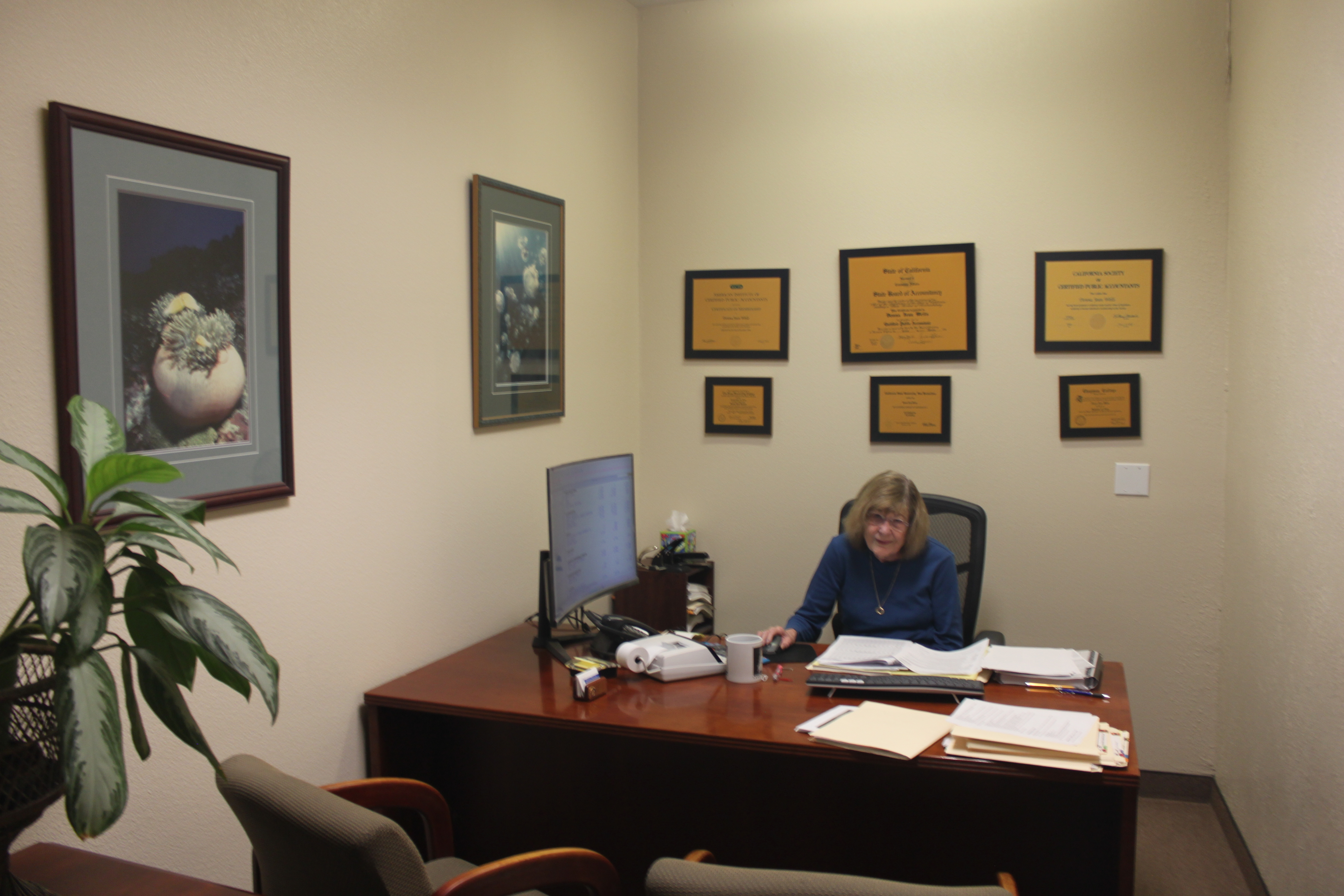 Donna J. Wells, CPA in Victorville, CA