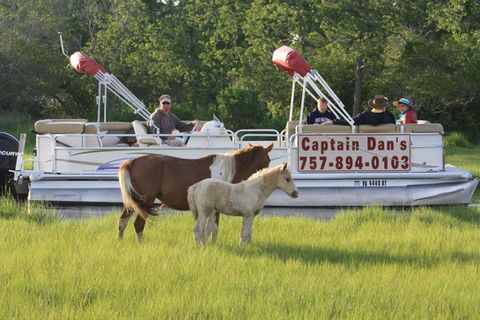 Captain Dan's Around The Island Tours in Chincoteague, VA