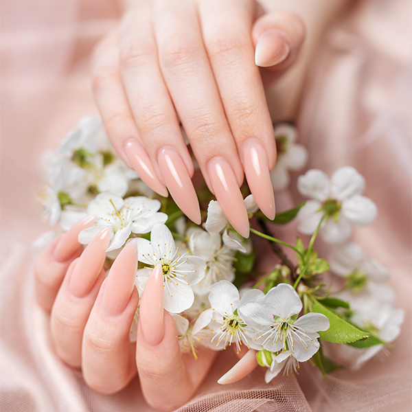 South Lamar Nail Bar in Austin, TX (5)