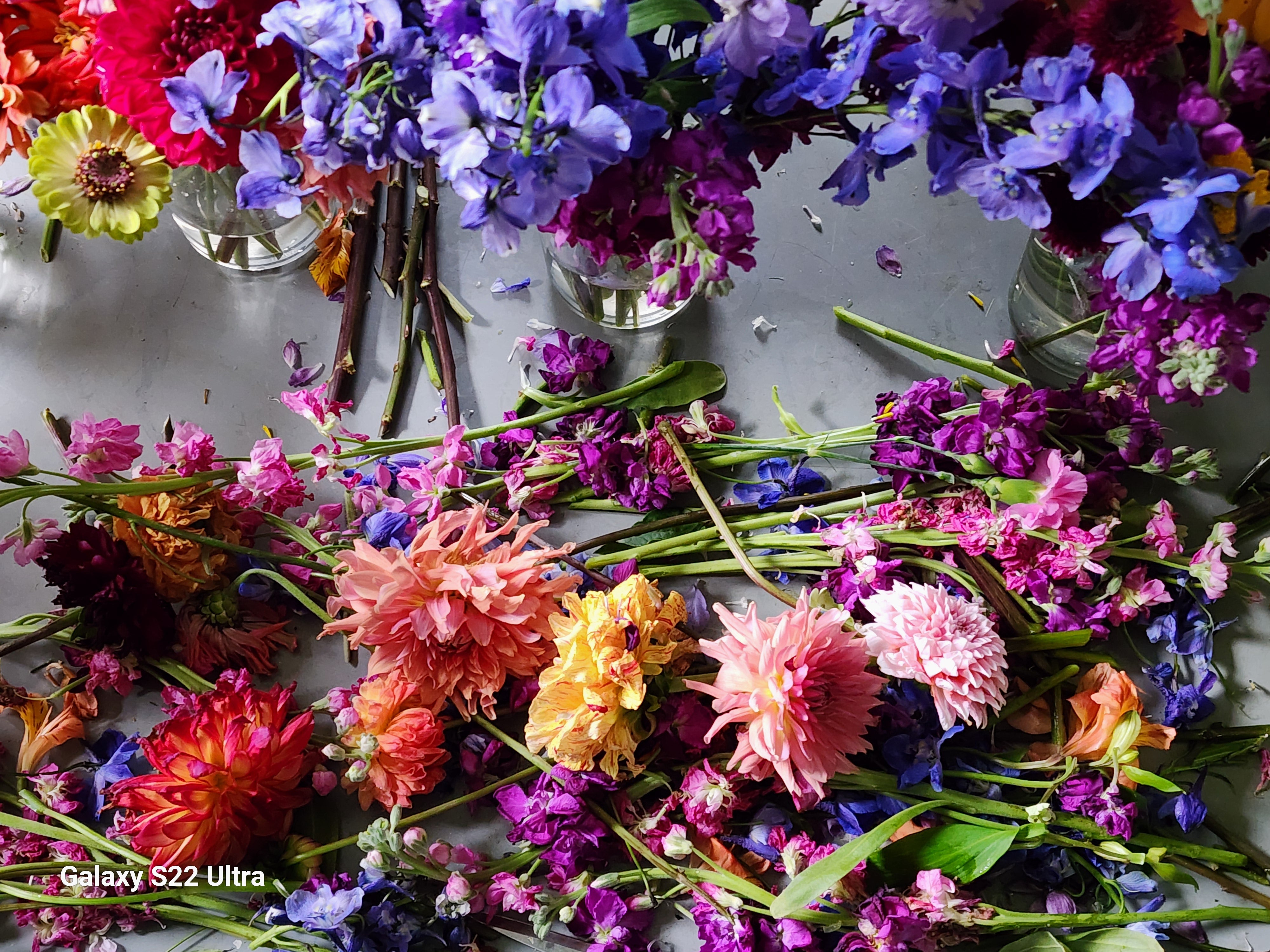 Wildflower and Wren Studio in Viroqua, WI (3)
