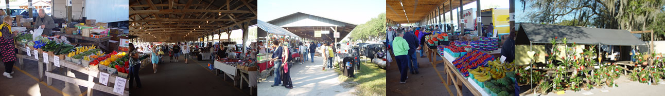 WEBSTER FLEA MARKET - SUMTER COUNTY FARMERS MARKET in Webster, FL (3)