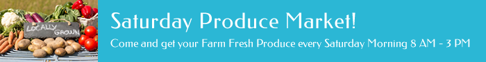 WEBSTER FLEA MARKET - SUMTER COUNTY FARMERS MARKET in Webster, FL (4)