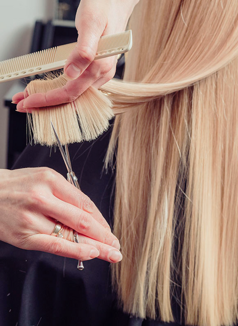 Salon Q2 in Cresskill, NJ (3)
