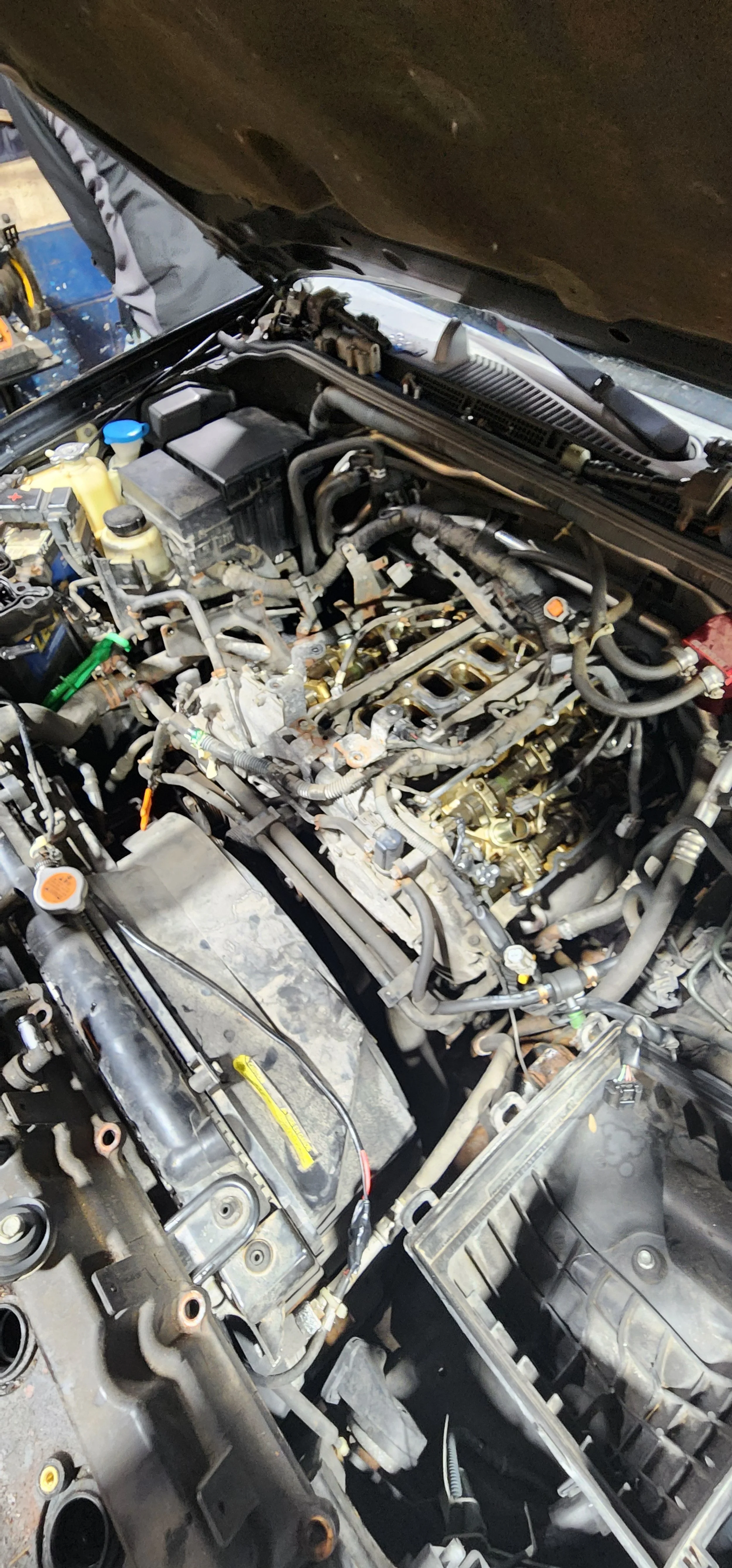 Aldur Auto in Strongsville, OH (5)