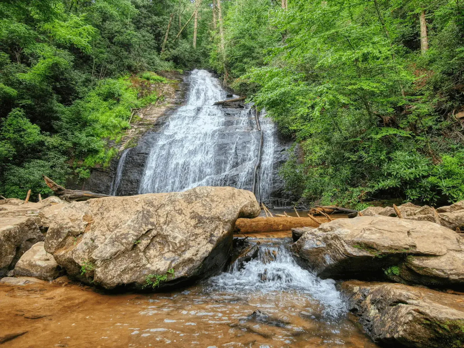 The Mountain Life Real Estate Team - KW Elevate in Blairsville, GA (4)